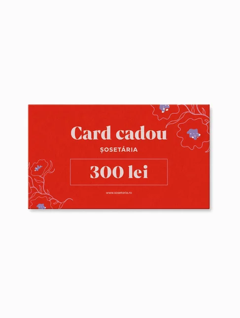 Voucher cadou 300 lei
