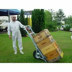 APILIFT Professional original Germania