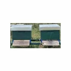 BeeWatch Thermo picture - 5