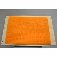 Faguri plastic 1/1 galbeni Stuparul.Ro picture - 4
