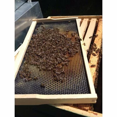 Faguri plastic 3/4 negri picture - 2