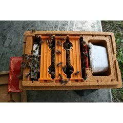 Nucleu imperechere profesional APIDEA picture - 10