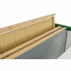 Nucleu polistiren 6 rame cuib cu hranitor P-HIVE picture - 9
