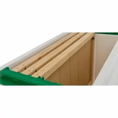 Nucleu polistiren 6 rame cuib P-HIVE picture - 6