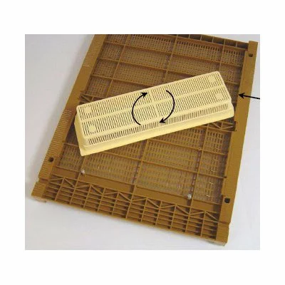 Placa activa Nicot picture - 13