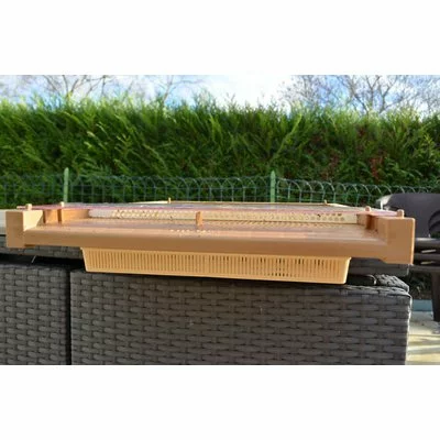 Placa activa Nicot picture - 5