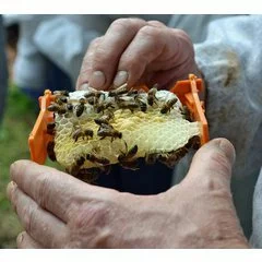 Rama plastic nucleu imperechere APIDEA picture - 6