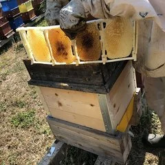 Set 4 rame miere in sectiuni asamblabile picture - 6