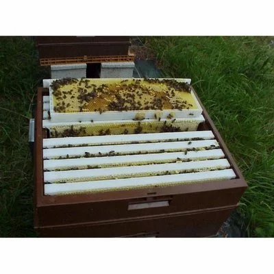 Stupi plastic NICOT picture - 2