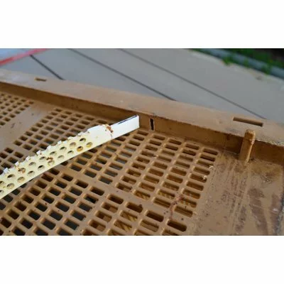 Tavita colector polen Nicot picture - 7