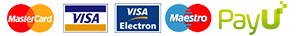 Payment option logo