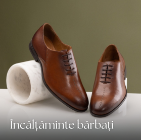 Incaltaminte Barbati