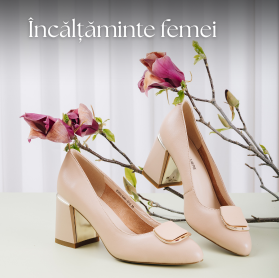 incaltaminte dama